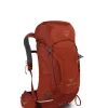 Osprey Kestrel 28 - Men's