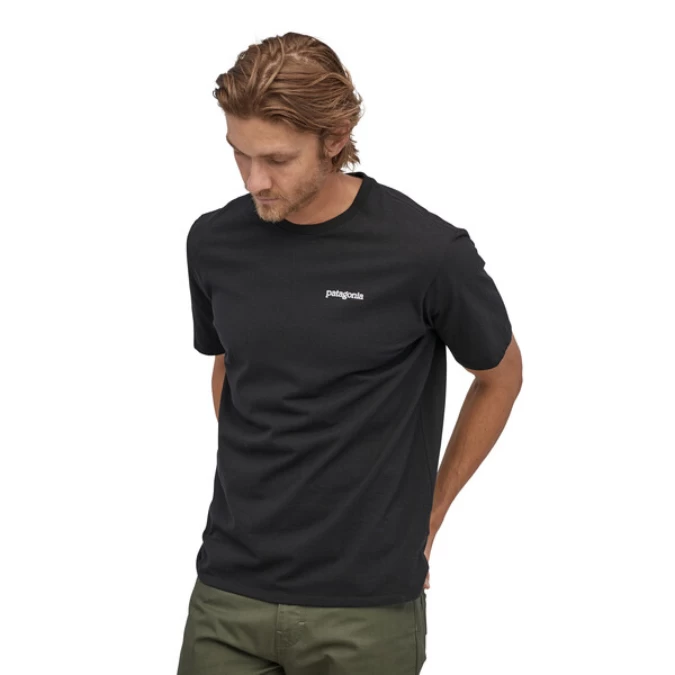 Patagonia Fitz Roy Horizons Responsibili-Tee - Men's 3 Patagonia Fitz Roy Horizons Responsibili-Tee - Men's
