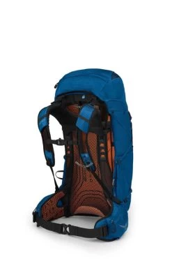 Osprey Exos 38 - Men's -Camping shops 1035989408 Osprey Exos38 BlueRibbon Mens Rear