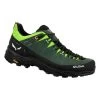 SALEWA Alp Trainer 2 - Men's