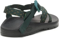 Chaco Z/Cloud 2 - Women's -Camping shops 1035994575 Chaco ZCloud2 StreamerScarab Wmns Rear