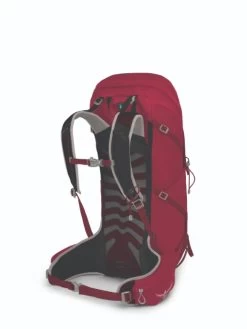 Osprey Talon 36 - Men's -Camping shops 1035997207 Osprey Talon36 CosmicRed Mens Rear