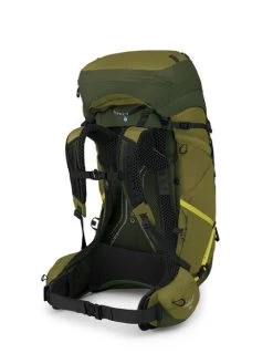 Osprey Atmos AG LT 65 - Men's -Camping shops 1036004240 Osprey AtmosAGLT65 ScenicValleyGreenPeppercorn Mens Rear