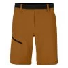SALEWA Puez 3 DST Shorts - Men's -Camping shops 1036008860 Salewa Puez3DSTShorts GoldenBrown Mens Front